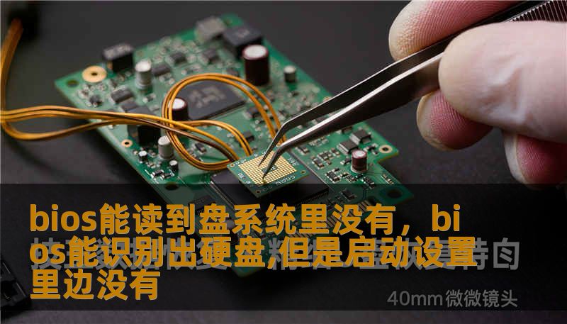 bios能读到盘系统里没有，bios能识别出硬盘,但是启动设置里边没有