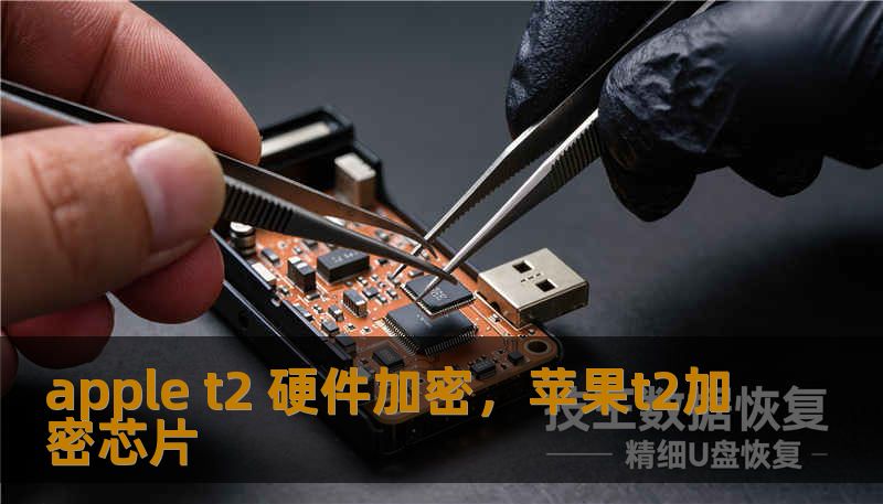 apple t2 硬件加密，苹果t2加密芯片
