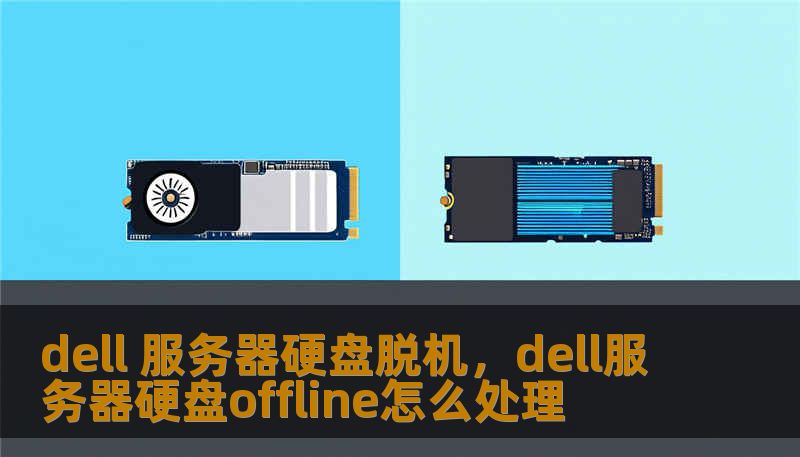 dell 服务器硬盘脱机，dell服务器硬盘offline怎么处理