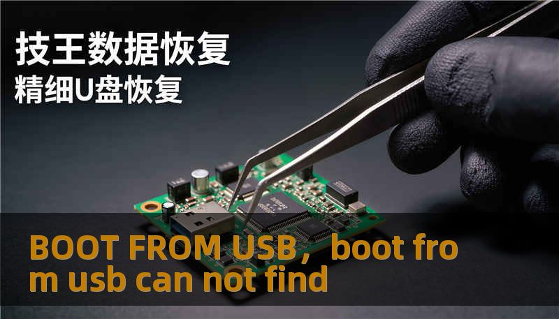 BOOT FROM USB，boot from usb can not find