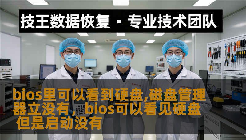 bios里可以看到硬盘,磁盘管理器立没有，bios可以看见硬盘 但是启动没有