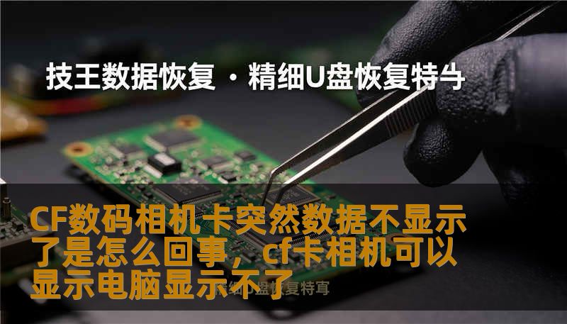 CF数码相机卡突然数据不显示了是怎么回事，cf卡相机可以显示电脑显示不了