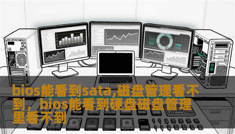 bios能看到sata,磁盘管理看不到，bios能看到硬盘磁盘管理里看不到