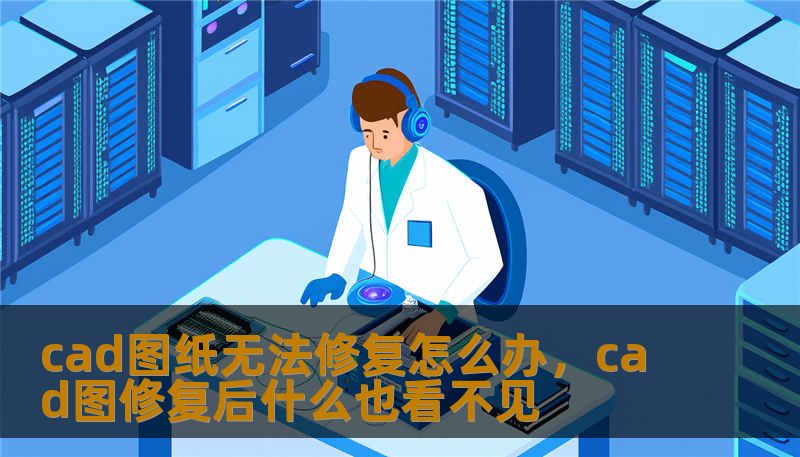 cad图纸无法修复怎么办，cad图修复后什么也看不见