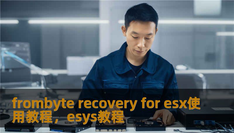 frombyte recovery for esx使用教程，esys教程