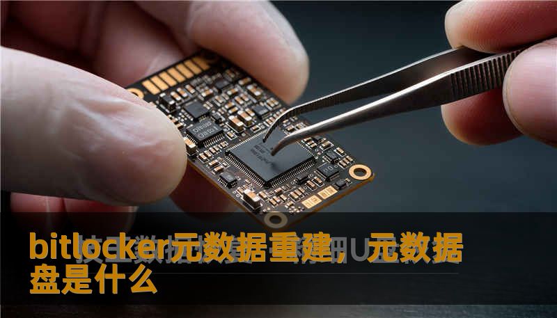 bitlocker元数据重建，元数据盘是什么