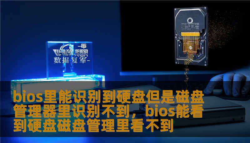 bios里能识别到硬盘但是磁盘管理器里识别不到，bios能看到硬盘磁盘管理里看不到