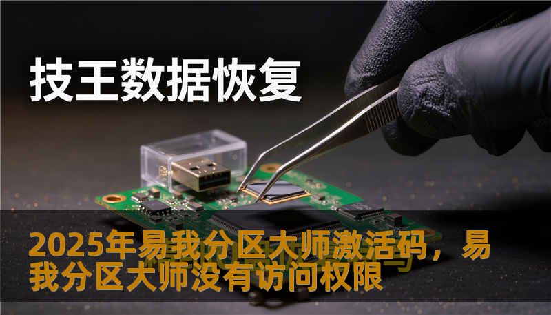 2025年易我分区大师激活码，易我分区大师没有访问权限