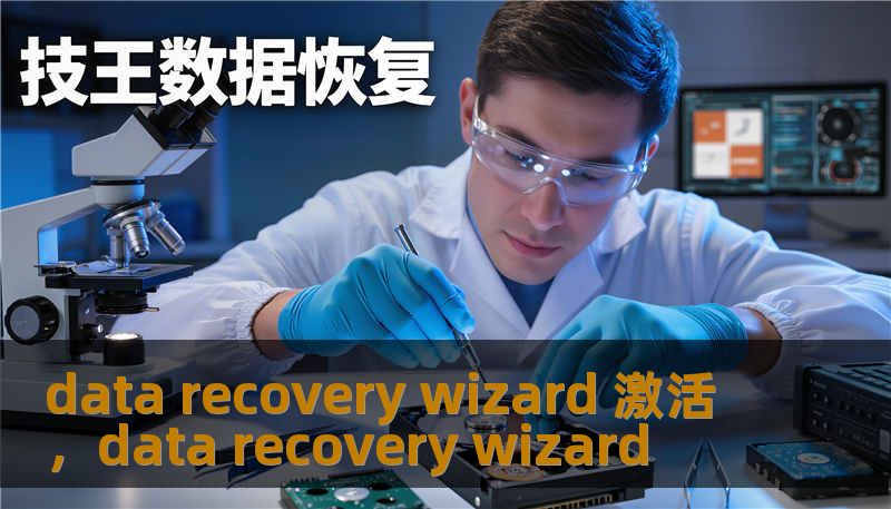 data recovery wizard 激活，data recovery wizard