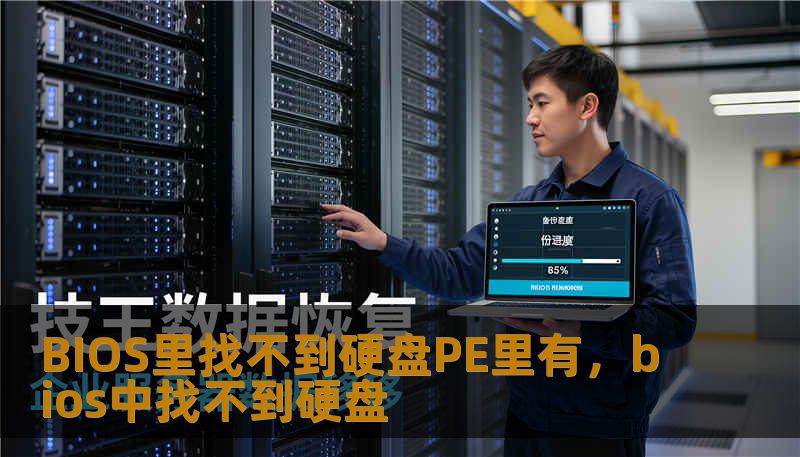 BIOS里找不到硬盘PE里有，bios中找不到硬盘