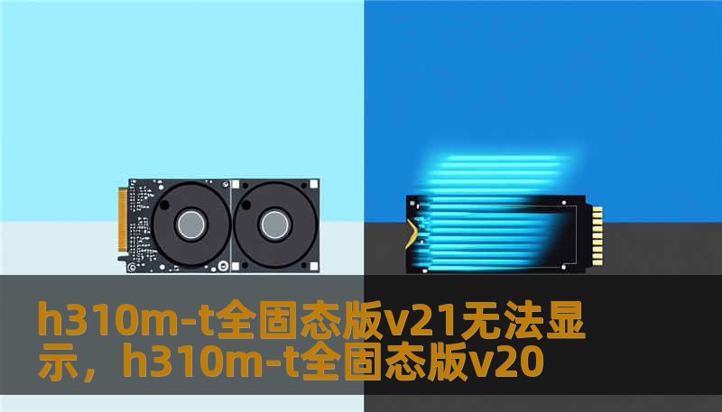 h310m-t全固态版v21无法显示，h310m-t全固态版v20