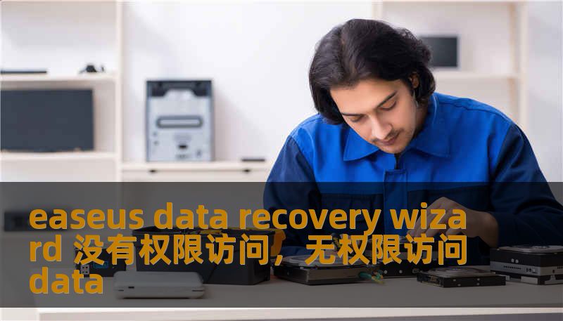 easeus data recovery wizard 没有权限访问，无权限访问data