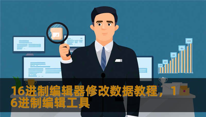 16进制编辑器修改数据教程，16进制编辑工具