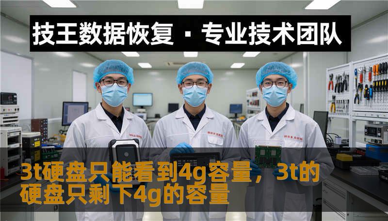 3t硬盘只能看到4g容量，3t的硬盘只剩下4g的容量