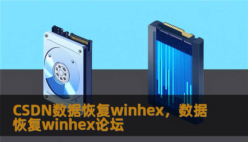 CSDN数据恢复winhex，数据恢复winhex论坛