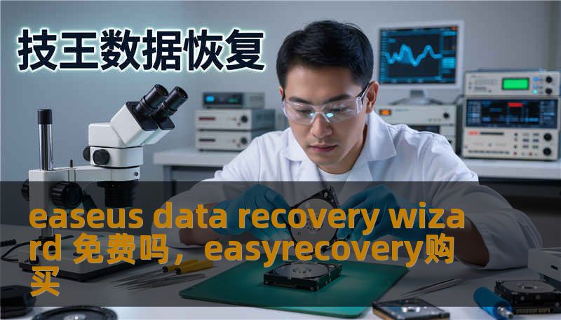 easeus data recovery wizard 免费吗，easyrecovery购买