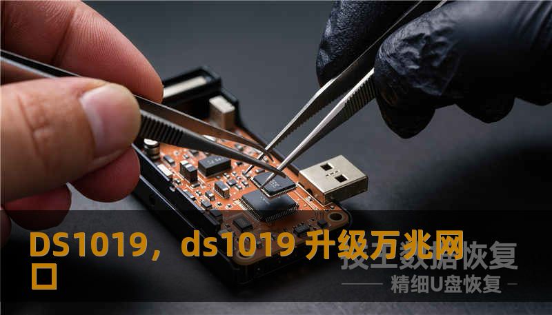 DS1019，ds1019 升级万兆网口