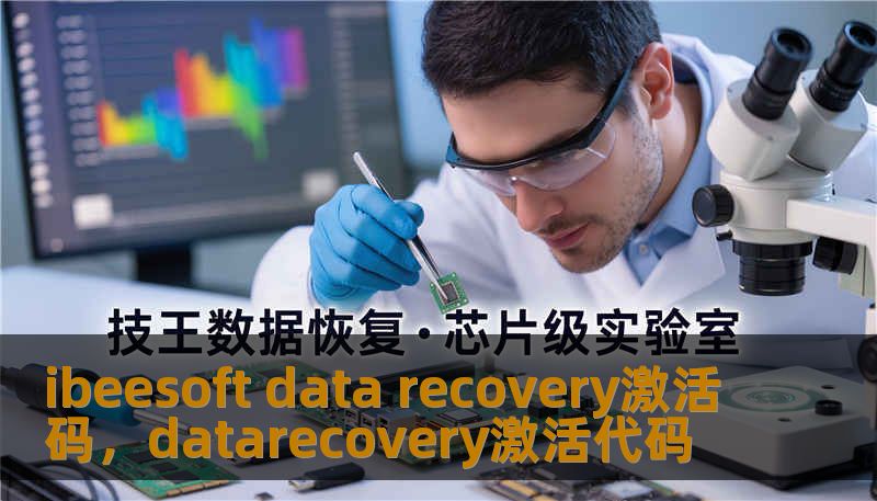 ibeesoft data recovery激活码，datarecovery激活代码