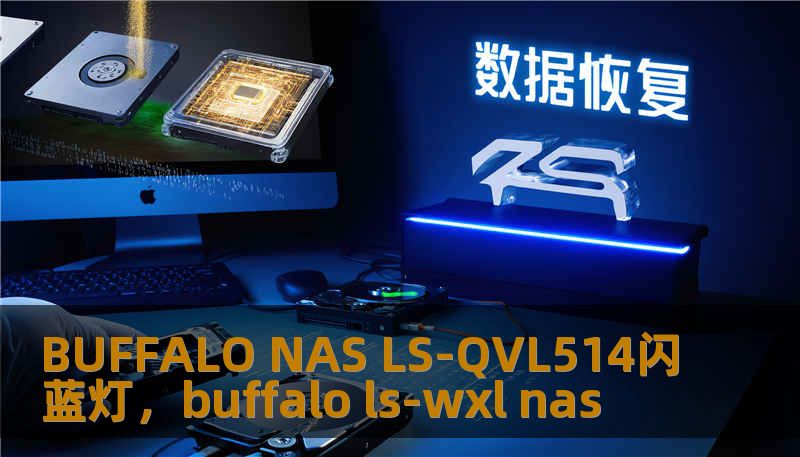 BUFFALO NAS LS-QVL514闪蓝灯，buffalo ls-wxl nas