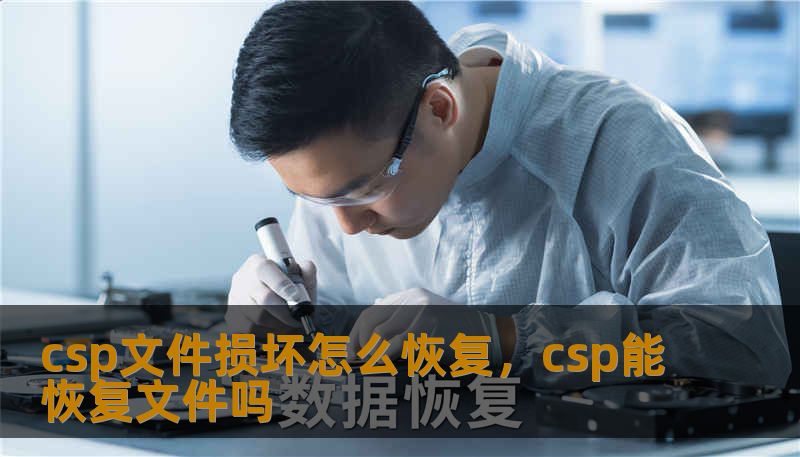 csp文件损坏怎么恢复，csp能恢复文件吗