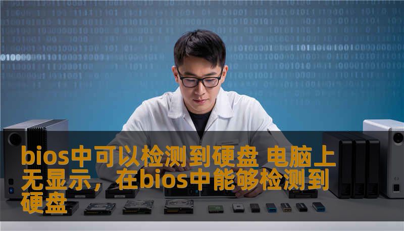 bios中可以检测到硬盘 电脑上无显示，在bios中能够检测到硬盘