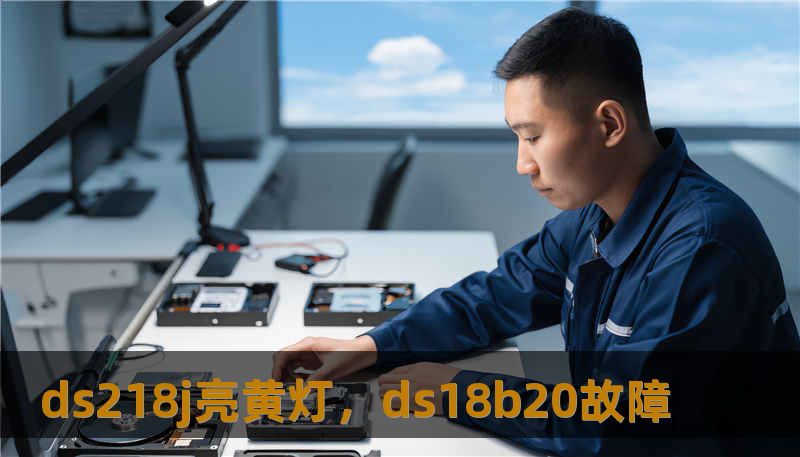 ds218j亮黄灯，ds18b20故障