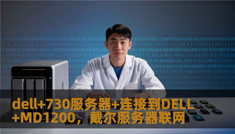 dell+730服务器+连接到DELL+MD1200，戴尔服务器联网