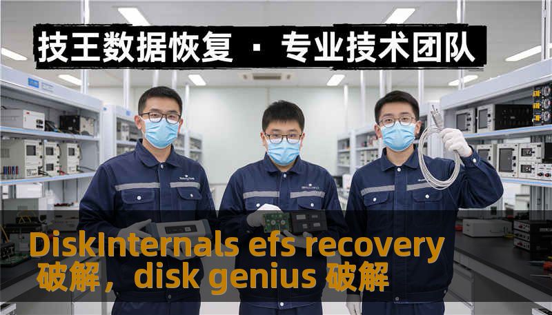 DiskInternals efs recovery 破解，disk genius 破解