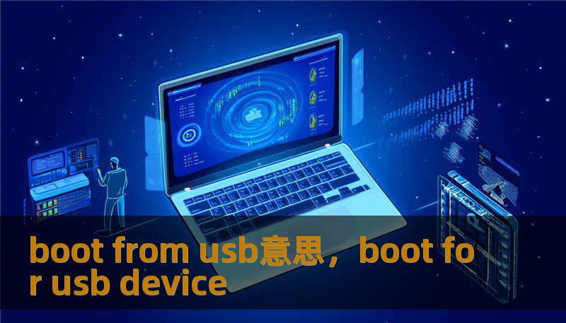 boot from usb意思，boot for usb device
