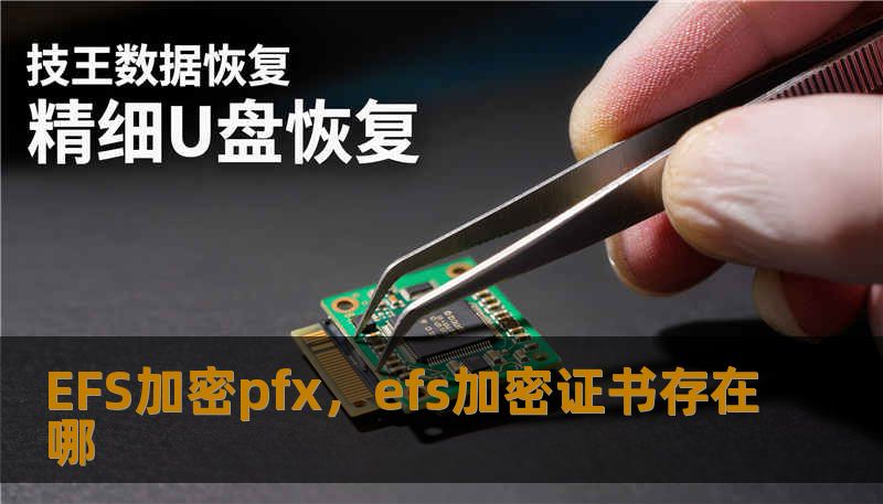EFS加密pfx，efs加密证书存在哪