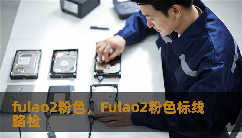 fulao2粉色，Fulao2粉色标线路检