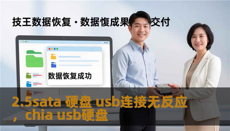 2.5sata 硬盘 usb连接无反应，chia usb硬盘