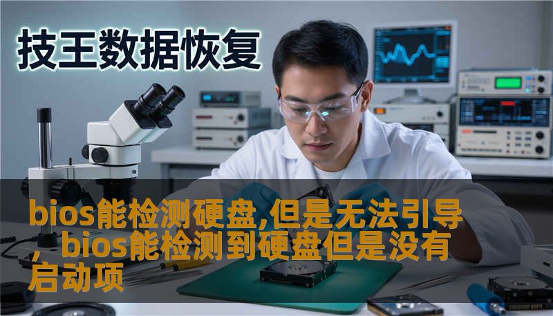 bios能检测硬盘,但是无法引导，bios能检测到硬盘但是没有启动项