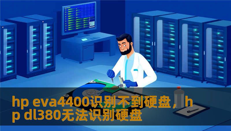 hp eva4400识别不到硬盘，hp dl380无法识别硬盘