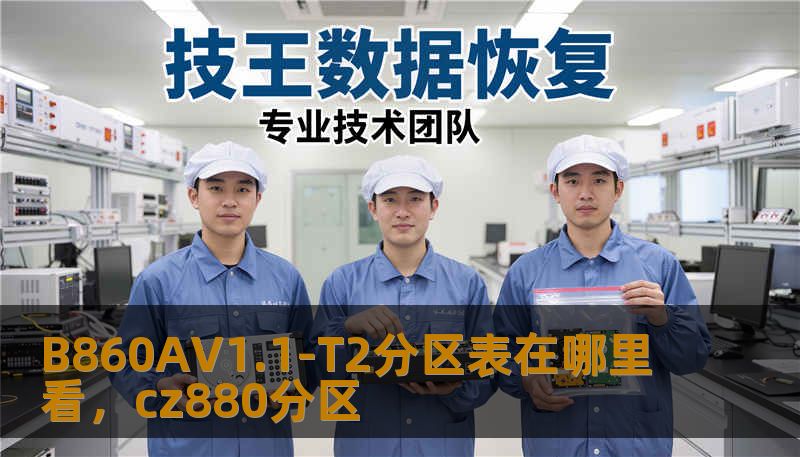 B860AV1.1-T2分区表在哪里看，cz880分区