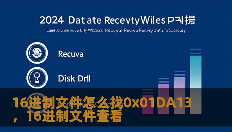 16进制文件怎么找0x01DA13，16进制文件查看