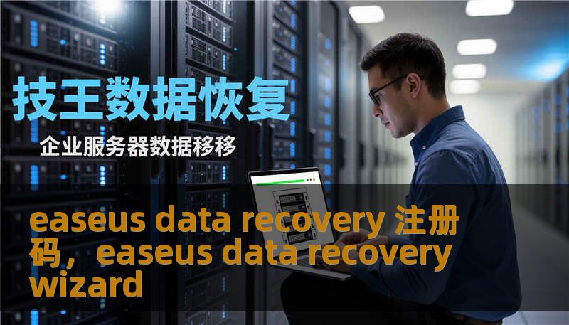 easeus data recovery 注册码，easeus data recovery wizard