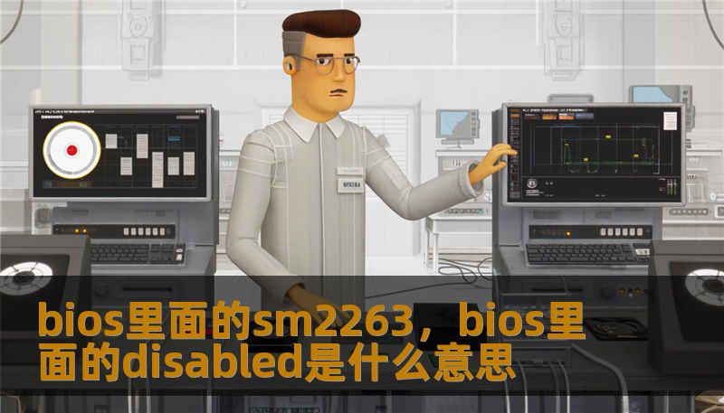 bios里面的sm2263，bios里面的disabled是什么意思