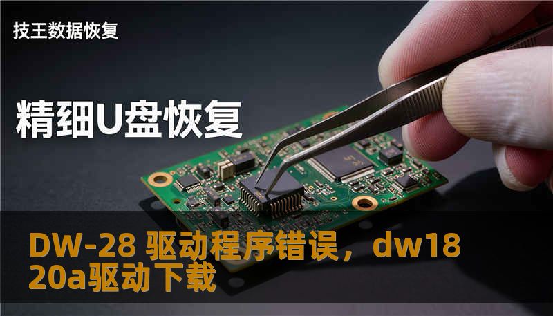 DW-28 驱动程序错误，dw1820a驱动下载