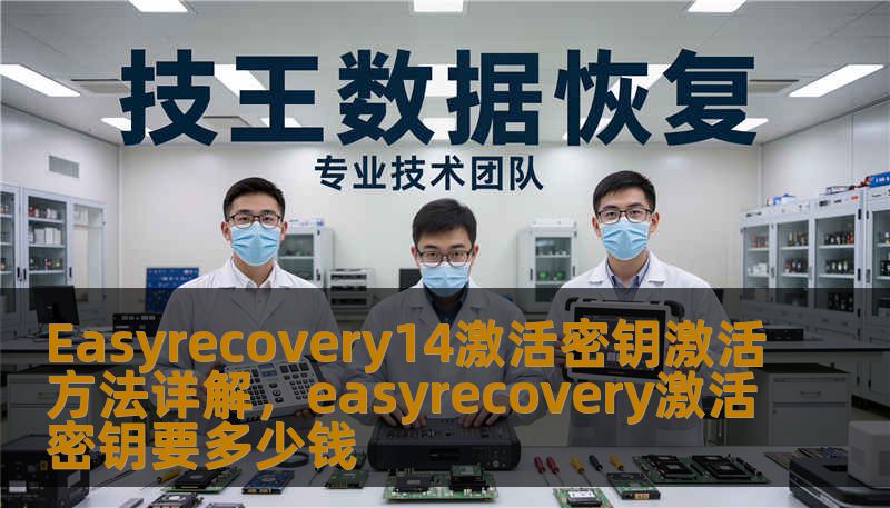 Easyrecovery14激活密钥激活方法详解，easyrecovery激活密钥要多少钱