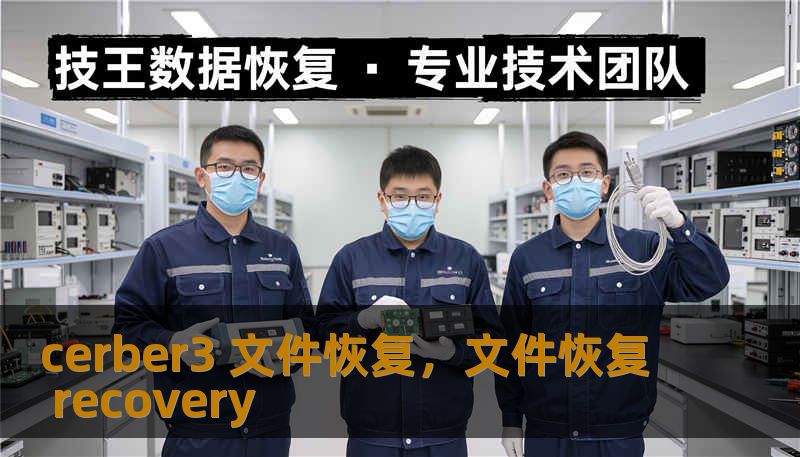 cerber3 文件恢复，文件恢复 recovery