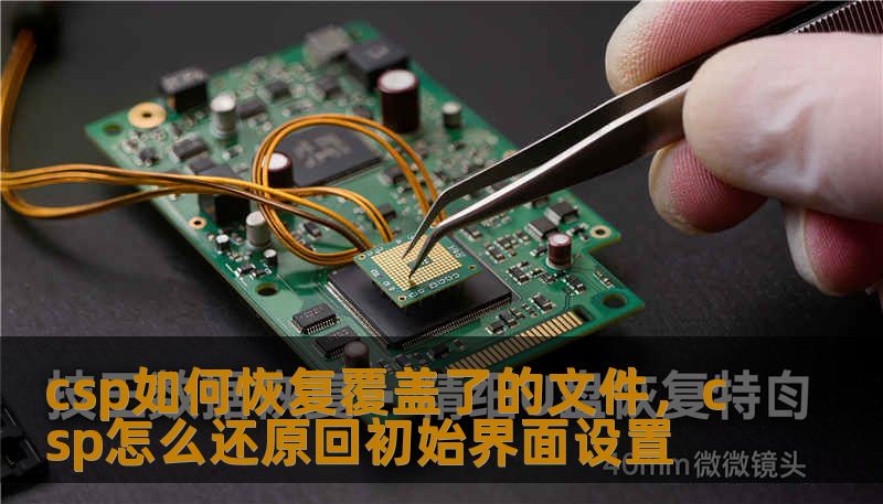csp如何恢复覆盖了的文件，csp怎么还原回初始界面设置
