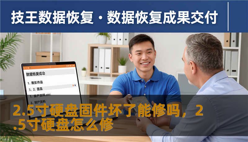 2.5寸硬盘固件坏了能修吗，2.5寸硬盘怎么修