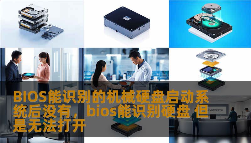 BIOS能识别的机械硬盘启动系统后没有，bios能识别硬盘 但是无法打开