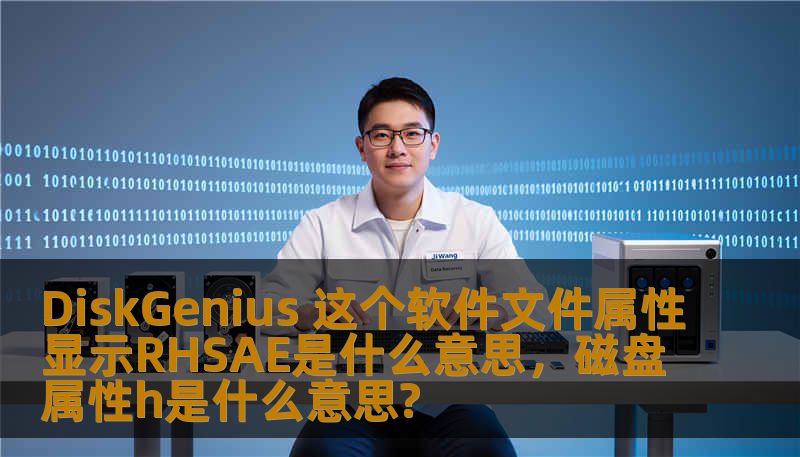 DiskGenius 这个软件文件属性显示RHSAE是什么意思，磁盘属性h是什么意思?