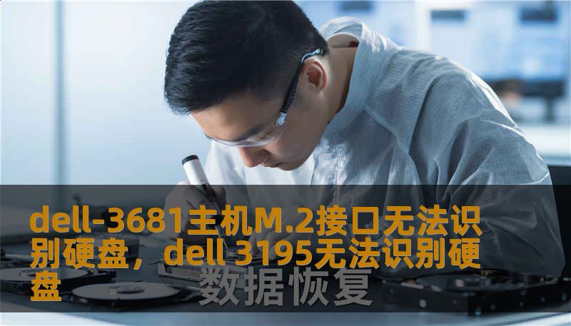 dell-3681主机M.2接口无法识别硬盘，dell 3195无法识别硬盘
