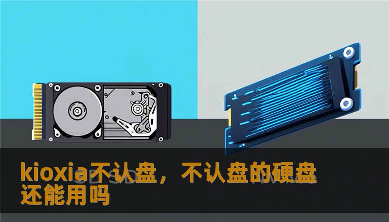 kioxia不认盘，不认盘的硬盘还能用吗