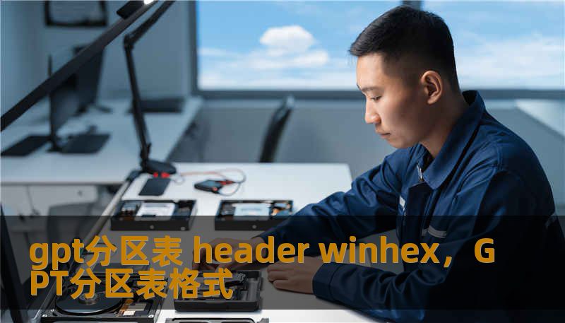 gpt分区表 header winhex，GPT分区表格式