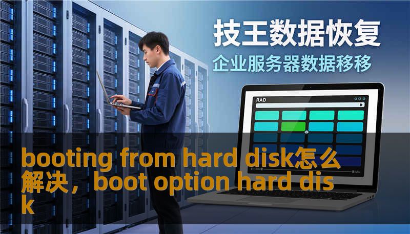 booting from hard disk怎么解决，boot option hard disk