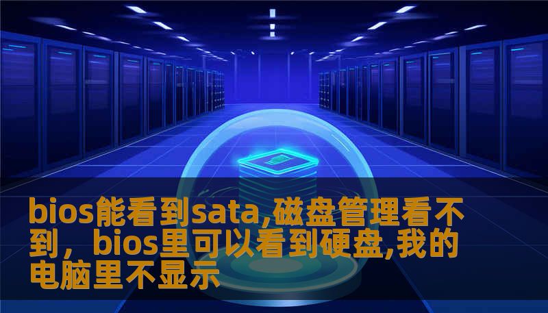 bios能看到sata,磁盘管理看不到，bios里可以看到硬盘,我的电脑里不显示